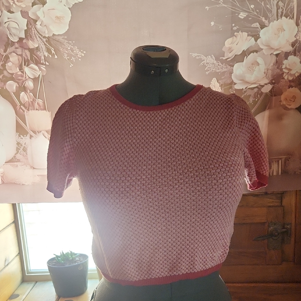 Cotton On Pink Crop Fitted T-Shirt